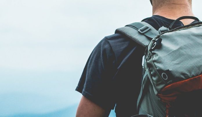 articolazione della spalla