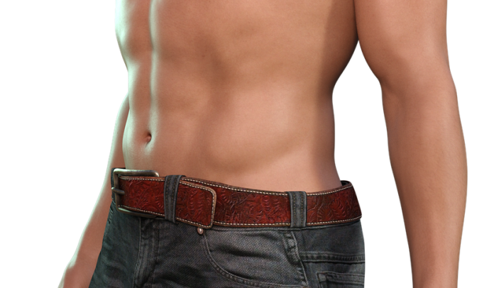 muscolatura addominale