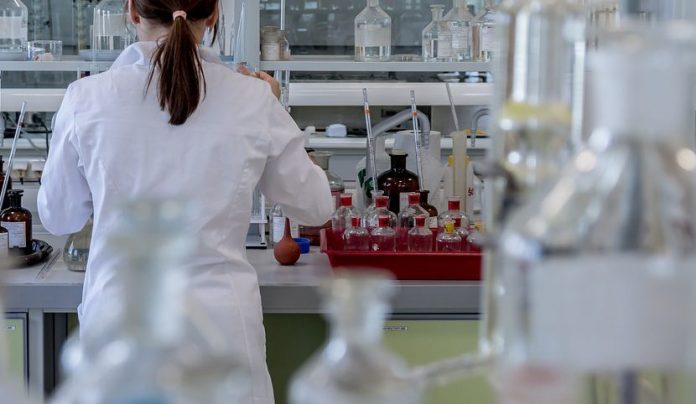 leucemia mieloide cronica