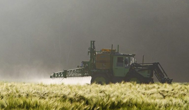 tossicità del glifosato