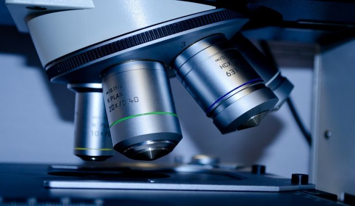 prova scientifica