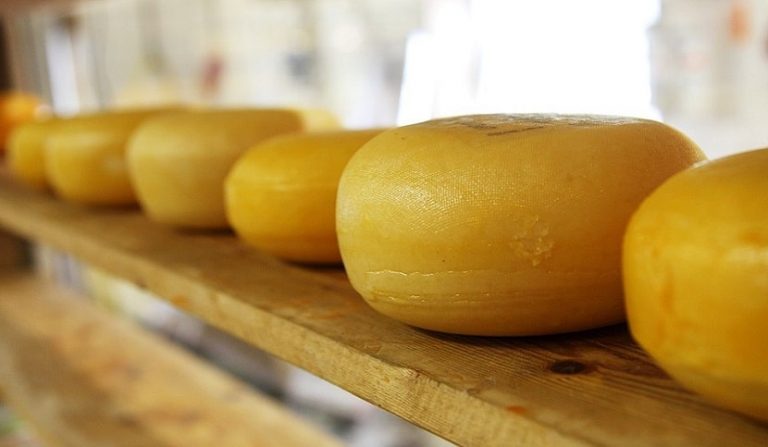 rischio contaminazione da escherichia coli