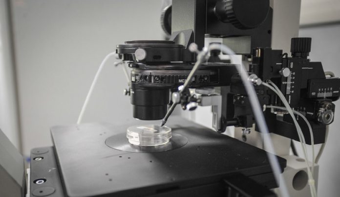 procreazione medicalmente assistita