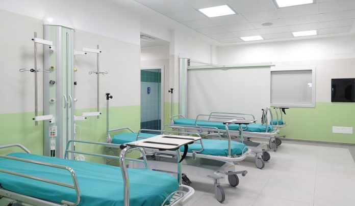 salma ricoperta di formiche ospedale
