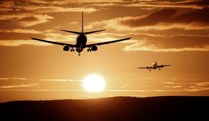 bird strike