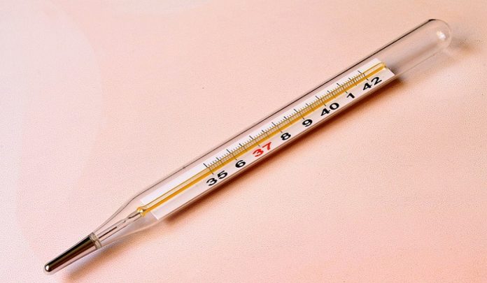 primo virus influenzale