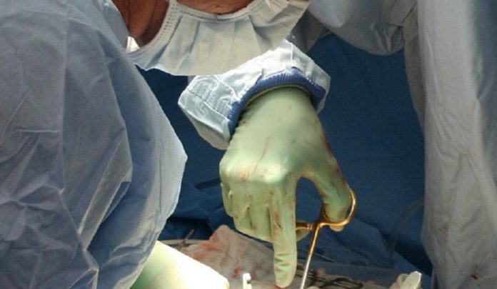donazione-organi-responsabile-civile donazioni di organi