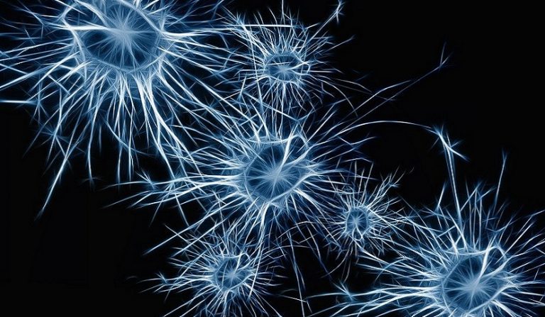 epilessia