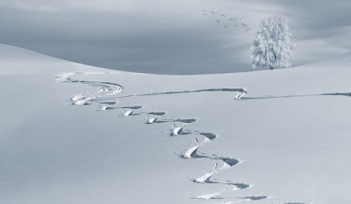 infortuni-sulla-neve-responsabile-civile