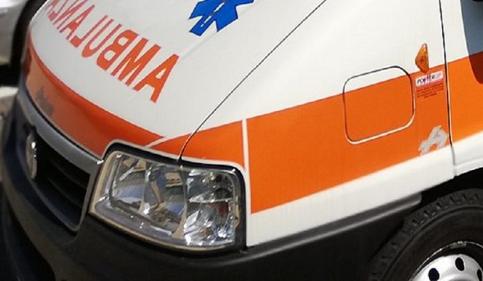 bimba di 17 mesi