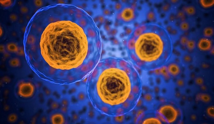 malattia respiratoria rara