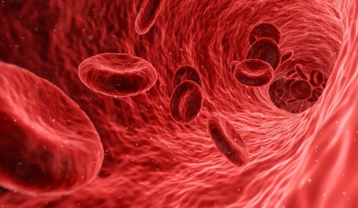 rifiuto emotrasfusioni