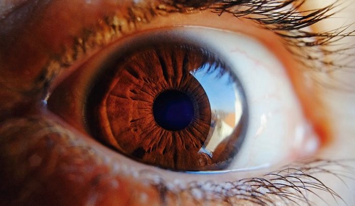 retina-artificiale-liquida-responsabile-civile retina artificiale liquida