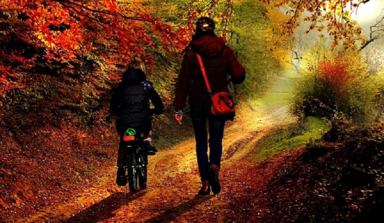 affidamento esclusivo