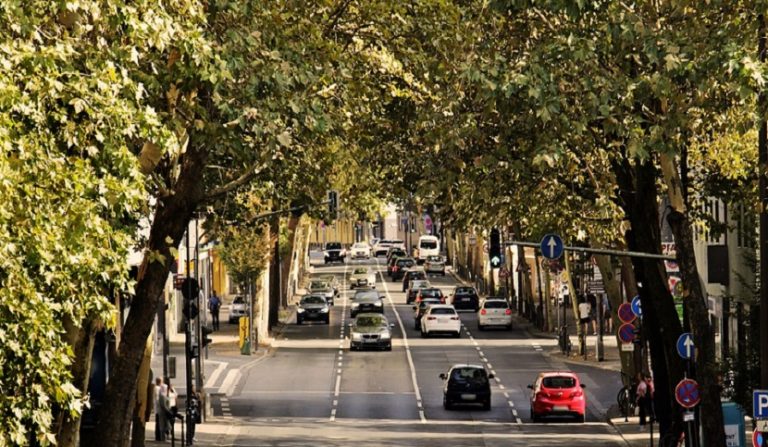 dinamica del sinistro