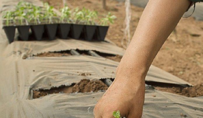 assegno per il nucleo familiare