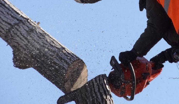 infortunio mortale sul lavoro