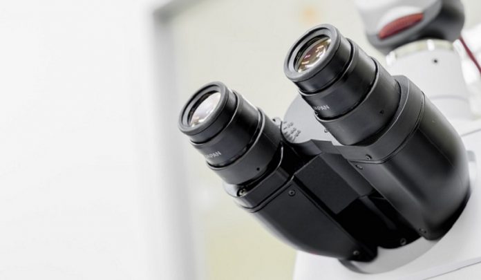 melanoma maligno non diagnosticato