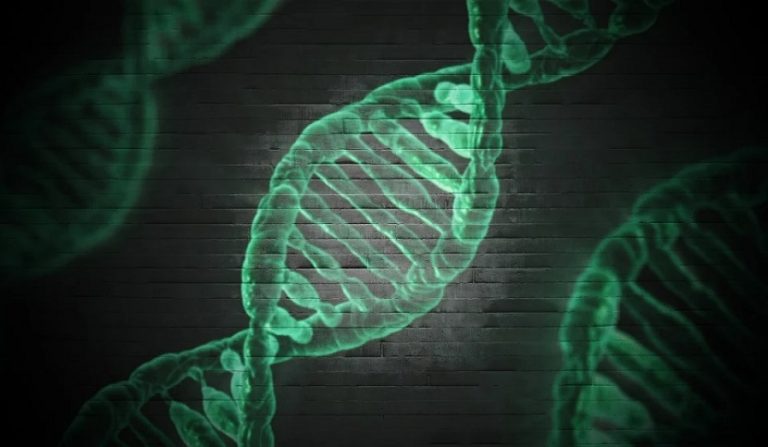errata diagnosi di traslocazione cromosomica