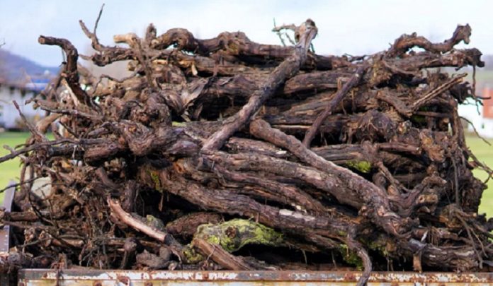 compatibilità delle lesioni fisiche