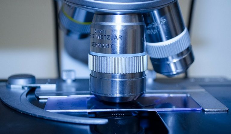 mancata sostituzione di protesi biliare