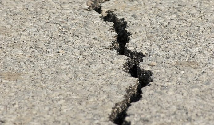 Manto stradale sconnesso a causa delle radici degli alberi