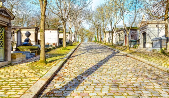 Caduta all'interno del Cimitero comunale per un gradino sconnesso