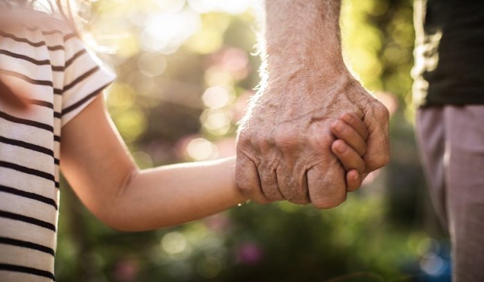 Intergenerational,Connection.,Close,Up,Photo,Of,Child,Hand,Holding,His Diritto dei nonni di vedere e frequentarel la nipotina