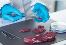 Intossicazione alimentare provocata da carne avariata