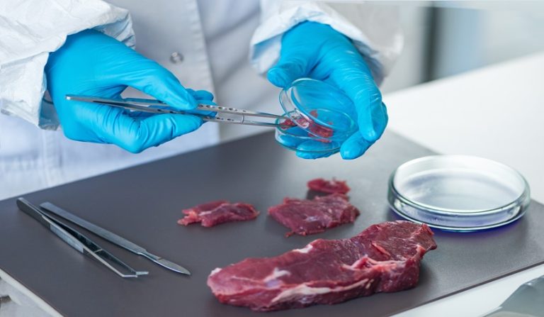 Intossicazione alimentare provocata da carne avariata
