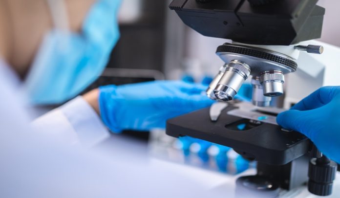 Scientist,Analyzing,Microscope,Slide,At,Laboratory.,Young,Woman,Technician,Is Melanoma maligno spalla sx tardivamente diagnosticato