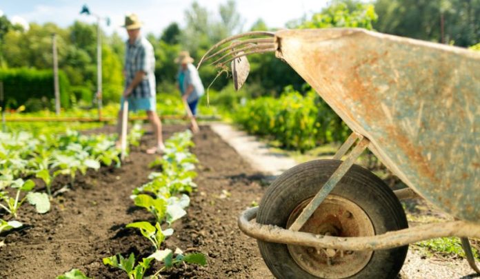 rapporti-di-lavoro-tra-parenti rapporti-di-lavoro-tra-parenti