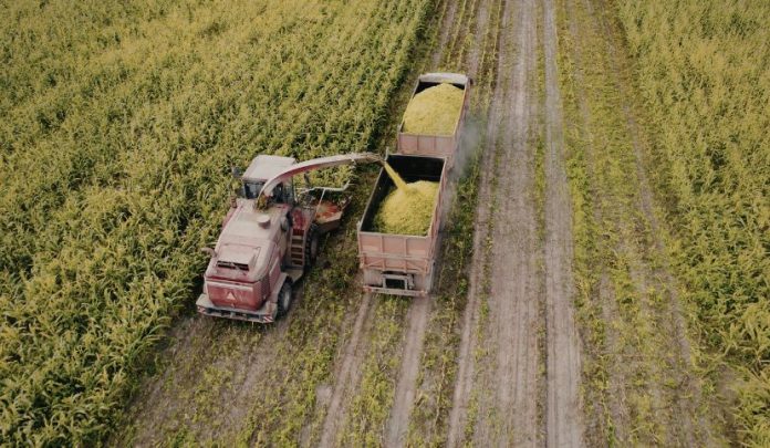 contributi-agricoli-responsabilità-professionale